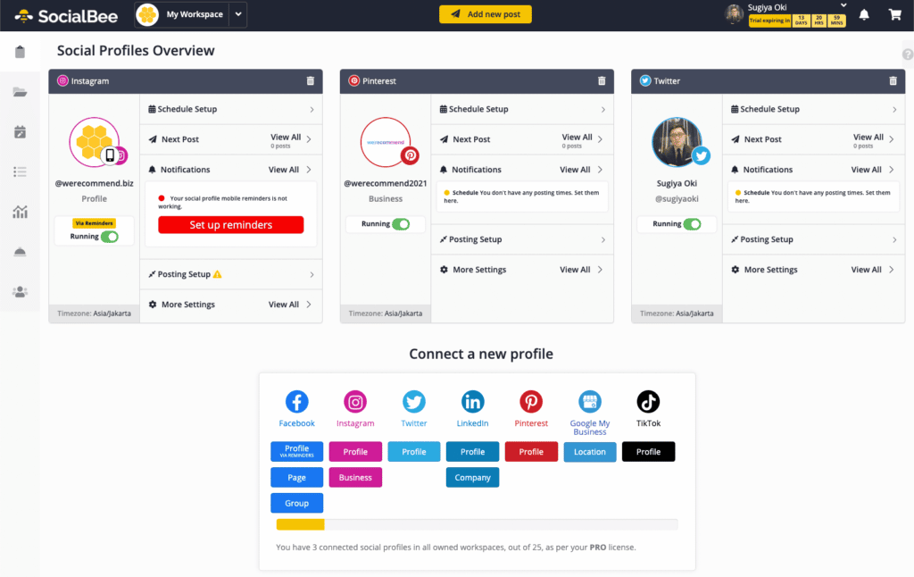 SocialBee Review - Dashboard