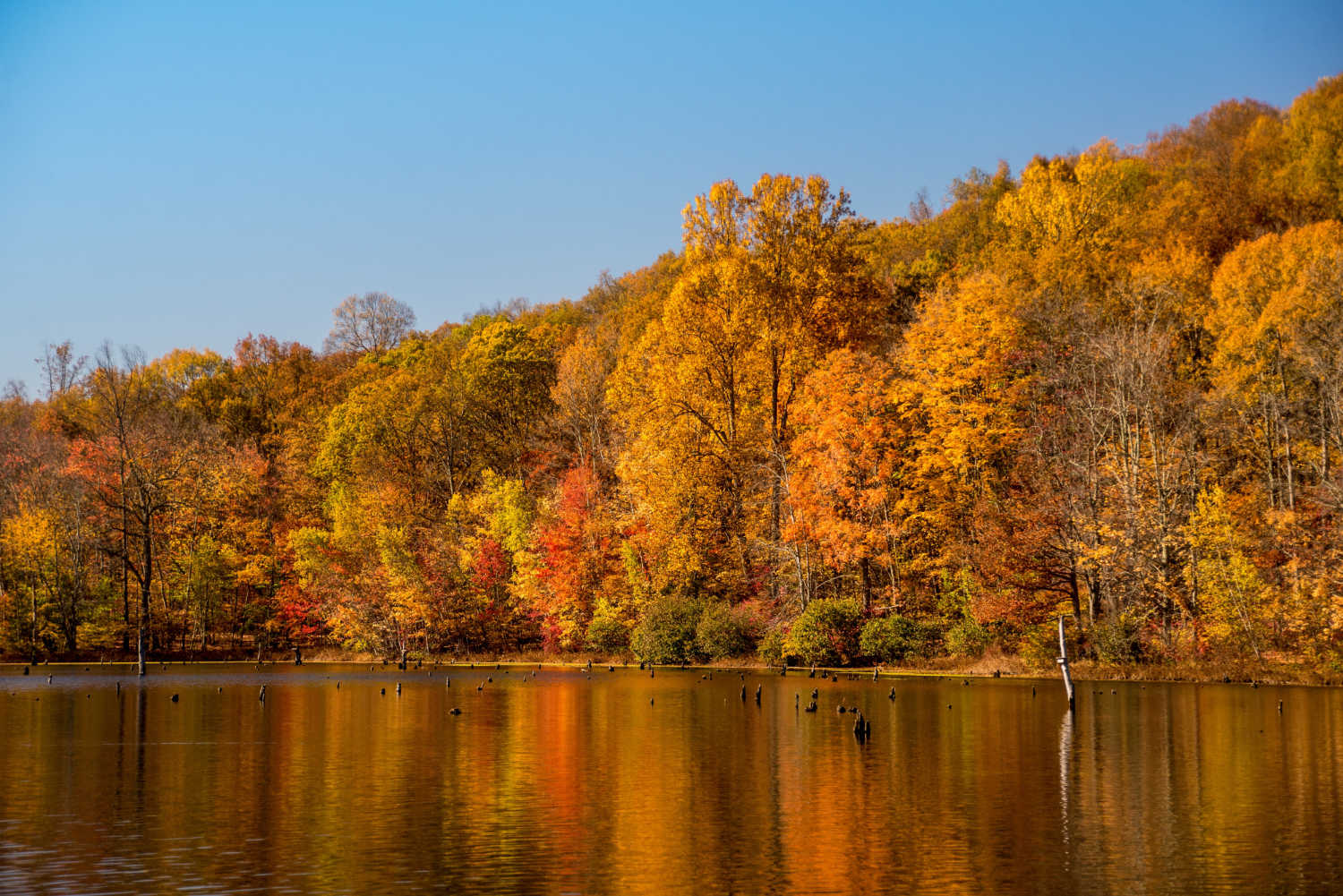 lake with reflection of trees fall season in Canada