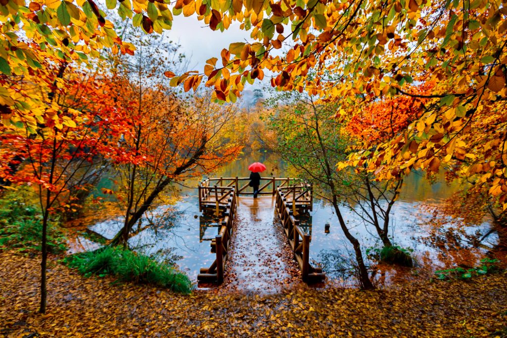 Fall season in Canada: Travel tips to enjoy the season