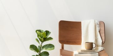 Classic wooden chair by a fiddle-leaf fig plant