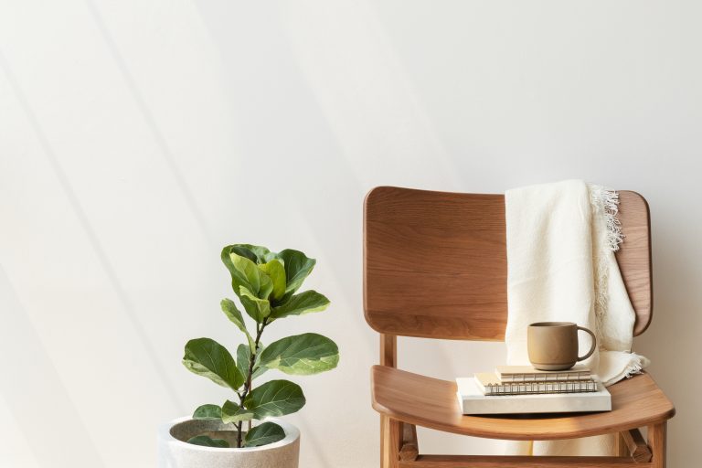 classic wooden chair by fiddle leaf fig plant