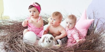 three cute little babies rabbit with easter eggs sitting huge nest