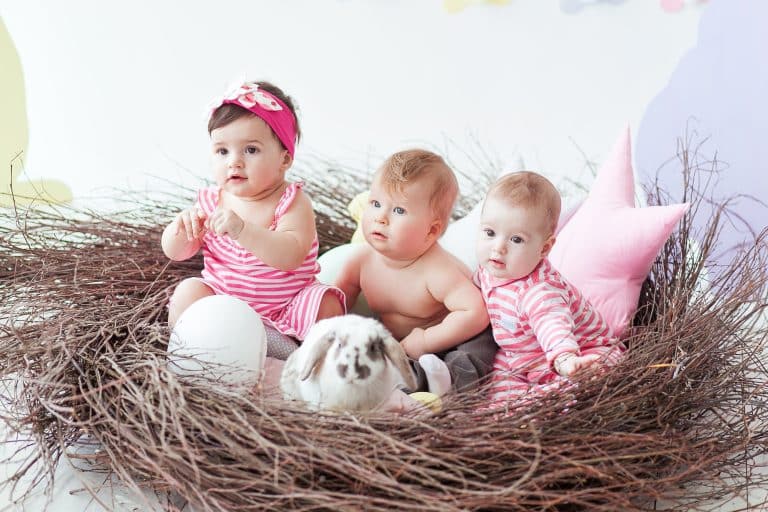 three cute little babies rabbit with easter eggs sitting huge nest